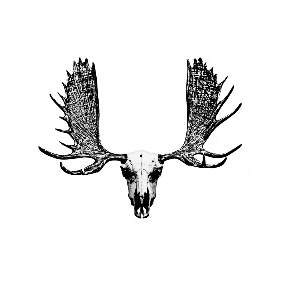MooseGear Wht-lw-scaled.png